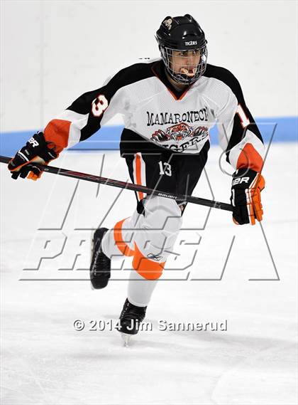 Thumbnail 3 in White Plains @ Mamaroneck photogallery.