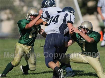 Thumbnail 3 in Carlmont @ Capuchino photogallery.