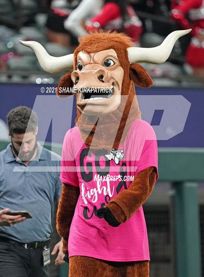 Thumbnail 1 in Duncanville @ Cedar Hill (Globe Life Field) photogallery.