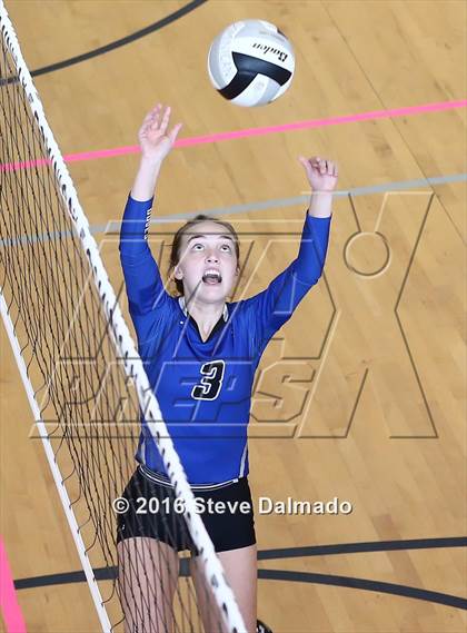 Thumbnail 2 in St. Scholastica vs St. Thomas More (Catholic League Tournament) photogallery.