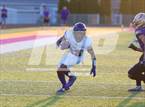 Photo from the gallery "Leo @ New Haven"