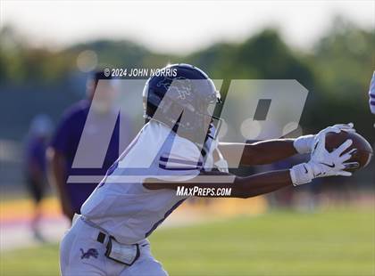 Thumbnail 1 in Leo @ New Haven photogallery.