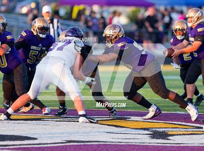 Thumbnail 1 in Leo @ New Haven photogallery.
