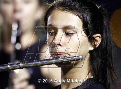 Thumbnail 3 in Ridgeland @ Dade County photogallery.