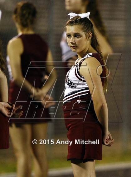 Thumbnail 3 in Ridgeland @ Dade County photogallery.