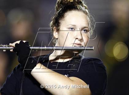Thumbnail 3 in Ridgeland @ Dade County photogallery.