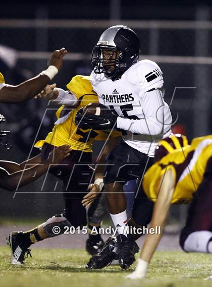 Thumbnail 3 in Ridgeland @ Dade County photogallery.