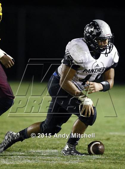 Thumbnail 2 in Ridgeland @ Dade County photogallery.