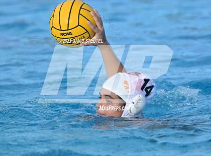 Thumbnail 3 in Roseville @ Inderkum photogallery.