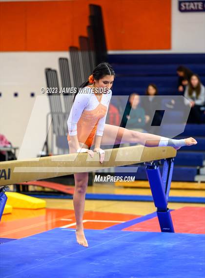 Thumbnail 3 in Hayfield Varsity Gymnastics @ West Springfield HS photogallery.