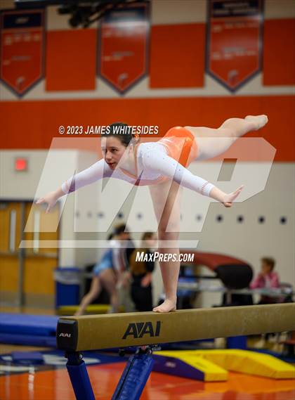 Thumbnail 3 in Hayfield Varsity Gymnastics @ West Springfield HS photogallery.