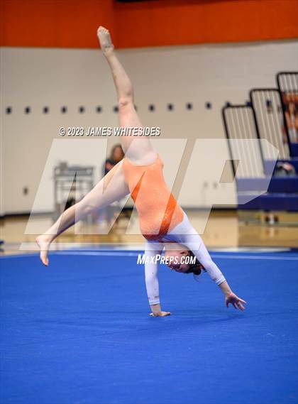 Thumbnail 2 in Hayfield Varsity Gymnastics @ West Springfield HS photogallery.