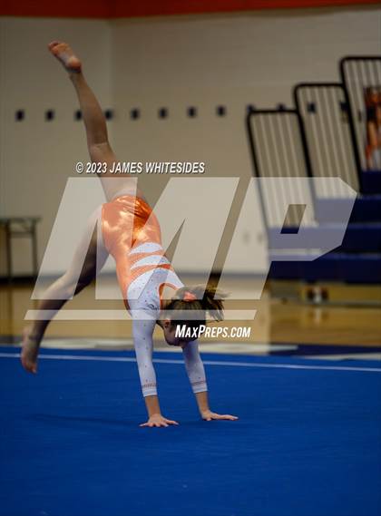 Thumbnail 3 in Hayfield Varsity Gymnastics @ West Springfield HS photogallery.