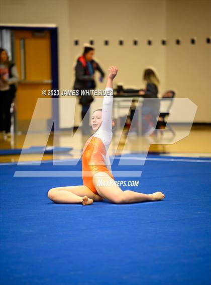 Thumbnail 2 in Hayfield Varsity Gymnastics @ West Springfield HS photogallery.
