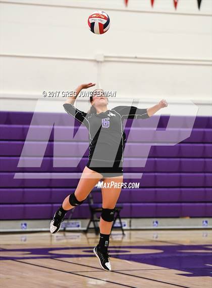 Thumbnail 2 in Montgomery @ Petaluma photogallery.