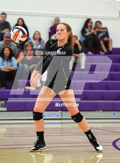 Thumbnail 3 in Montgomery @ Petaluma photogallery.