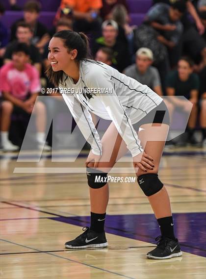 Thumbnail 1 in Montgomery @ Petaluma photogallery.