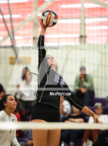 Thumbnail 2 in Montgomery @ Petaluma photogallery.