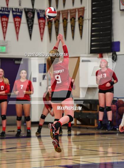 Thumbnail 3 in Montgomery @ Petaluma photogallery.