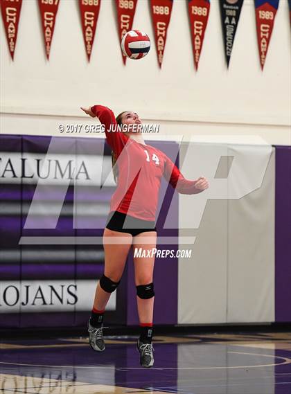 Thumbnail 2 in Montgomery @ Petaluma photogallery.