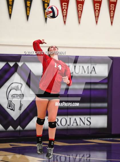 Thumbnail 2 in Montgomery @ Petaluma photogallery.