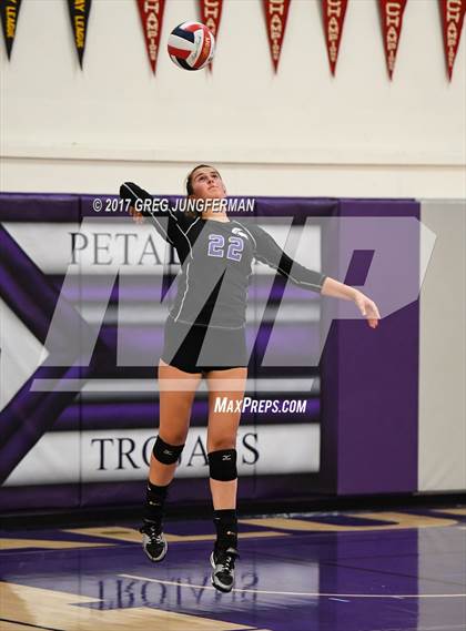 Thumbnail 2 in Montgomery @ Petaluma photogallery.