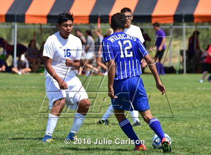 Thumbnail 1 in Bloomfield vs Lovington (Aztec Invitational) photogallery.
