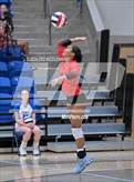 Photo from the gallery "Northside @ Conway"