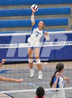 Photo from the gallery "Northside @ Conway"