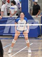 Photo from the gallery "Northside @ Conway"