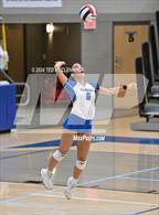 Photo from the gallery "Northside @ Conway"