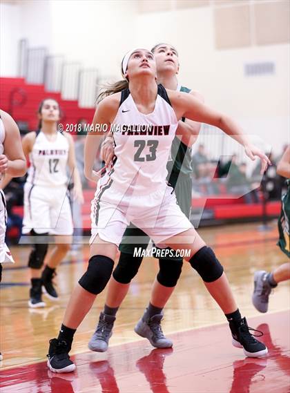Thumbnail 2 in Rowe [Nikki] @ Palmview photogallery.