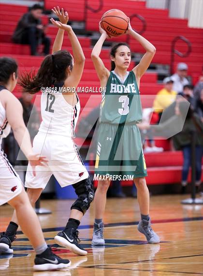Thumbnail 3 in Rowe [Nikki] @ Palmview photogallery.
