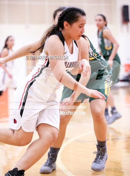 Thumbnail 3 in Rowe [Nikki] @ Palmview photogallery.