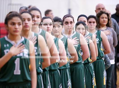 Thumbnail 3 in Rowe [Nikki] @ Palmview photogallery.
