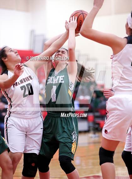 Thumbnail 3 in Rowe [Nikki] @ Palmview photogallery.