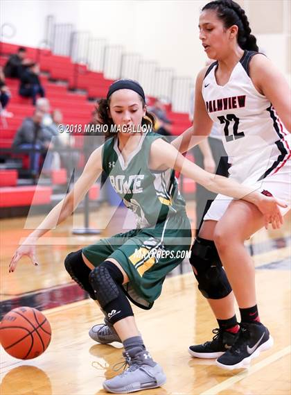 Thumbnail 1 in Rowe [Nikki] @ Palmview photogallery.