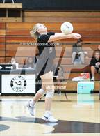 Photo from the gallery "South Central @ Havelock"
