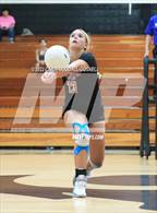 Photo from the gallery "South Central @ Havelock"