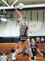 Photo from the gallery "South Central @ Havelock"