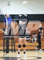 Photo from the gallery "South Central @ Havelock"