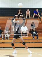 Photo from the gallery "South Central @ Havelock"