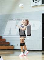 Photo from the gallery "South Central @ Havelock"