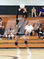 Photo from the gallery "South Central @ Havelock"