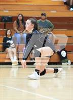 Photo from the gallery "South Central @ Havelock"