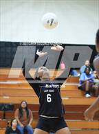 Photo from the gallery "South Central @ Havelock"