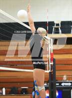 Photo from the gallery "South Central @ Havelock"