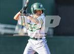 Photo from the gallery "Southern Lee @ Pinecrest"