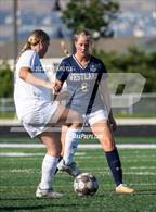 Photo from the gallery "Pine View @ Westlake"