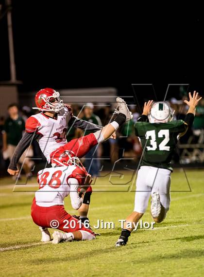 Thumbnail 3 in Ponder @ Santo (Homecoming) photogallery.